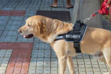 El XVII Triatlón de Salinetas, en imágenes (II)